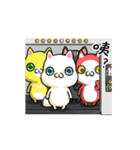 猫フォックス（個別スタンプ：24）