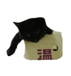 ハッピーニャンニャン（個別スタンプ：3）