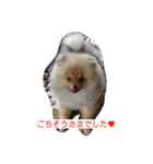 Princess Marie（個別スタンプ：1）