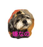 シープーのモニカちゃん①（個別スタンプ：22）