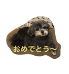 シープーのモニカちゃん①（個別スタンプ：34）