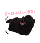 黒ポメchouchou ①（個別スタンプ：10）