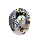 ペキ（個別スタンプ：6）