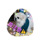 ペキ（個別スタンプ：7）