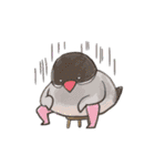 ほぼほぼたぬきが動きがち（個別スタンプ：16）