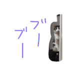 毎日トム！（個別スタンプ：19）