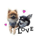 aice ＆ prada（個別スタンプ：7）