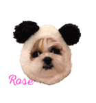 aice ＆ prada（個別スタンプ：15）