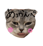 ナナです（個別スタンプ：1）