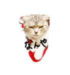 ナナです（個別スタンプ：5）