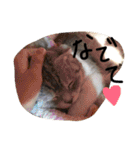 ナナです（個別スタンプ：7）