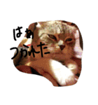 ナナです（個別スタンプ：8）