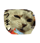 ナナです（個別スタンプ：18）