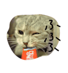 ナナです（個別スタンプ：20）