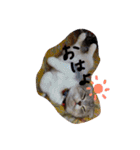 ナナです（個別スタンプ：21）
