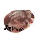 ナナです（個別スタンプ：25）