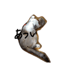 ナナです（個別スタンプ：28）