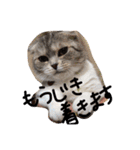 ナナです（個別スタンプ：40）