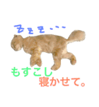 ぼくは、みかんと申します。（個別スタンプ：2）