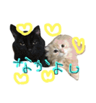 ぼくは、みかんと申します。（個別スタンプ：3）