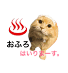 ぼくは、みかんと申します。（個別スタンプ：11）