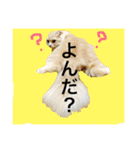 ぼくは、みかんと申します。（個別スタンプ：16）