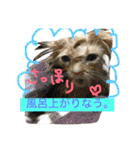 ぼくは、みかんと申します。（個別スタンプ：18）