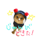 ぼくは、みかんと申します。（個別スタンプ：19）