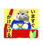 ぼくは、みかんと申します。（個別スタンプ：21）