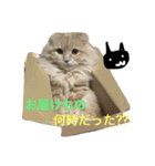 ぼくは、みかんと申します。（個別スタンプ：22）