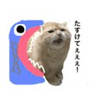 ぼくは、みかんと申します。（個別スタンプ：33）
