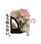 ぼくは、みかんと申します。（個別スタンプ：35）