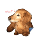 天真爛漫 すずちゃん（個別スタンプ：1）