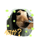 天真爛漫 すずちゃん（個別スタンプ：6）