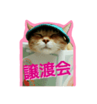 TNR（個別スタンプ：14）