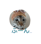 momen's diary（個別スタンプ：7）