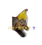 momen's diary（個別スタンプ：9）