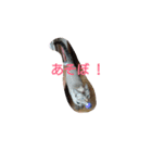 momen's diary（個別スタンプ：13）