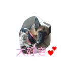 momen's diary（個別スタンプ：19）