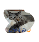 momen's diary（個別スタンプ：21）