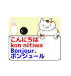 動くみんなのフランス語 その1（個別スタンプ：12）