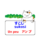 動くみんなのフランス語 その1（個別スタンプ：15）