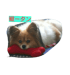 rikufamily（個別スタンプ：4）