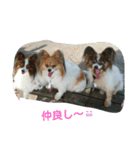 rikufamily（個別スタンプ：5）