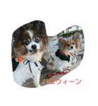 rikufamily（個別スタンプ：8）
