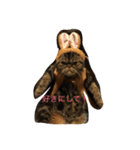 マル＆クゥー（個別スタンプ：3）