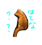 可愛い仔猫♡びすけちゃん（個別スタンプ：6）