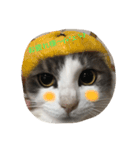 猫あんこ☆（個別スタンプ：1）
