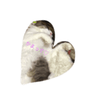 猫あんこ☆（個別スタンプ：2）