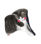 猫あんこ☆（個別スタンプ：4）